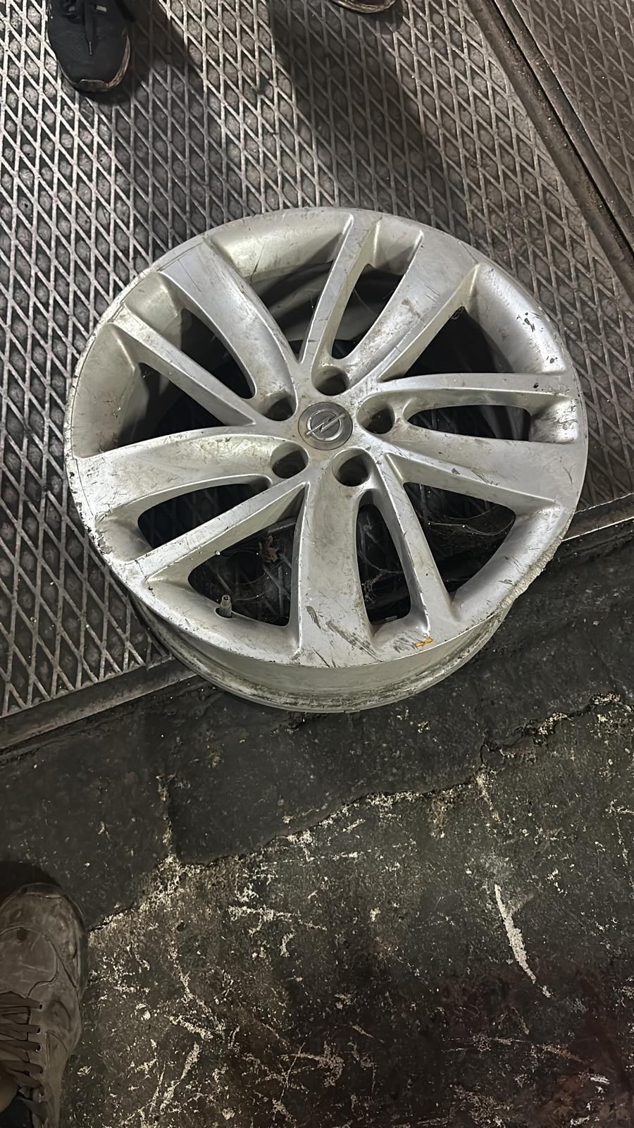 MOKKA X JANT CANT TRAVEST DİNGİL